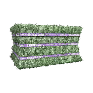 Standlee Premium Orchard Compressed Hay Bale