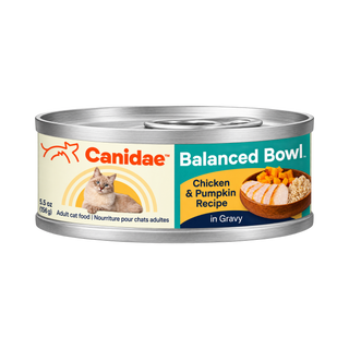 Canidae Chicken & Pumpkin Wet Cat Food