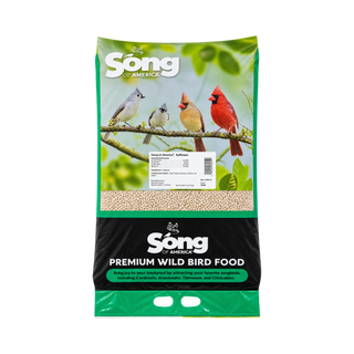 Safflower Bird Seed