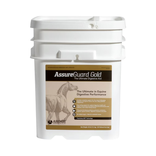 Assure Guard Gold Equine Digestive Aid