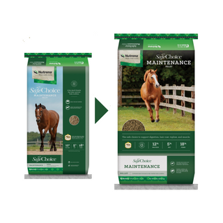 Nutrena SafeChoice Maintenance Horse Feed - Pittsboro Feed