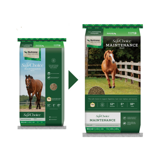 Nutrena SafeChoice Maintenance Horse Feed