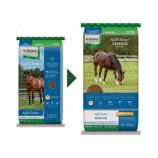 Nutrena SafeChoice Senior Horse Feed - Pittsboro Feed