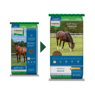 Nutrena SafeChoice Senior Horse Feed