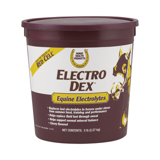 Electro Dex Electrolytes
