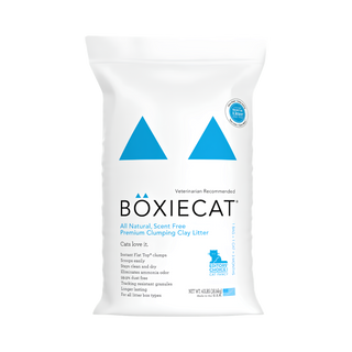 Boxiecat Scent Free Premium Clay Cat Litter