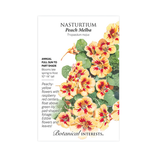 Nasturtium Peach Melba