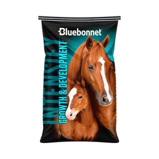 Bluebonnet Intensify Growth & Development Horse Feed