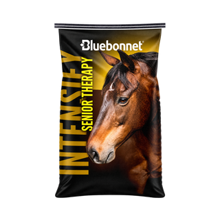 Bluebonnet Intensify Senior Therapy Horse Feed