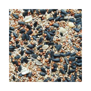 Fancy Wild Bird Blend (No Corn) Bird Seed