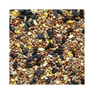 Wild Bird Blend Bird Seed