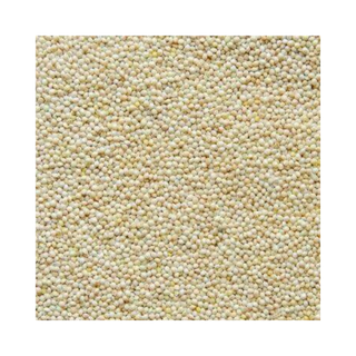 White Millet Seed