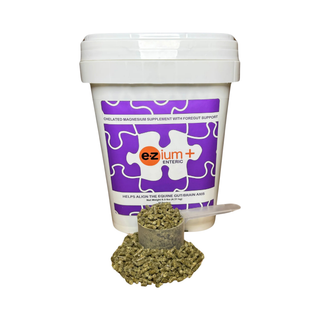 EZium+ Magnesium Enteric Horse Supplement