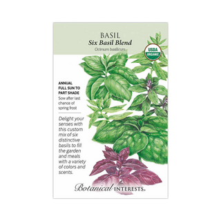 Basil Six Basil Blend Organic