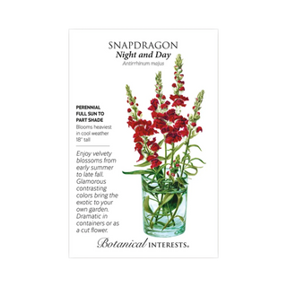 Snapdragon Night & Day