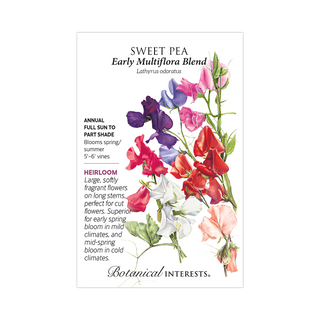 Sweet Pea Early Multiflora Blend