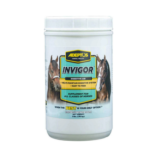 Invigor Prebiotic Digestion Formula
