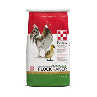Purina Flock Raiser Crumbles Chicken Feed - Pittsboro Feed