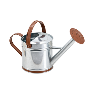 Classic Metal Watering Can