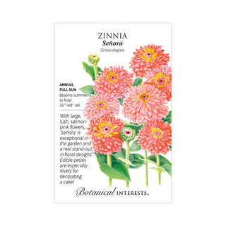 Zinnia Senora