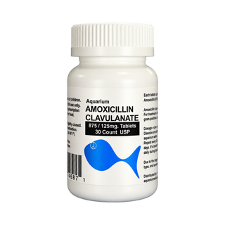 Fish Amox Clav - Amoxicillin / Clavulanate