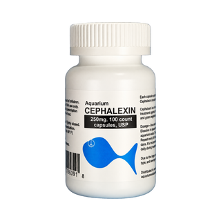Fish Ceph - Cephalexin