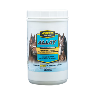 Allay Digestion Supplement & Calmer Supplement