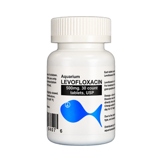 Fish Levo - Levofloxacin