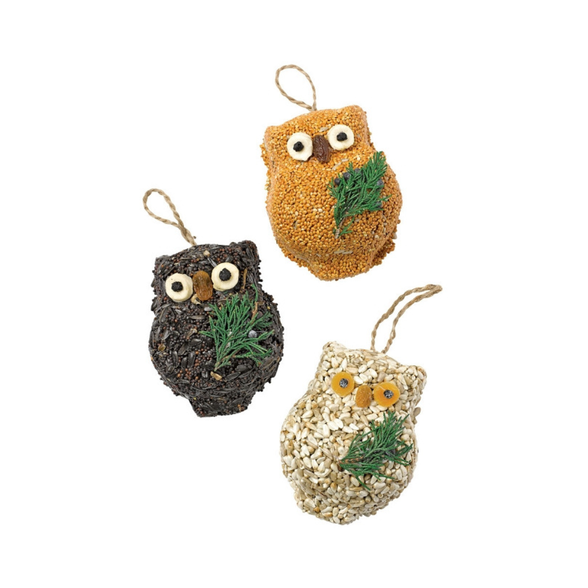 Mr. Bird Ollie the Owl