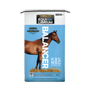 Tribute Equi-Librium Balancer