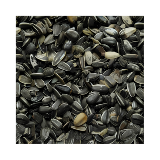 Striped Sunflower Seed