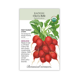 Radish Cherry Belle Organic