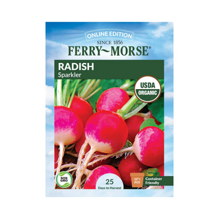 Radish Sparkler Organic
