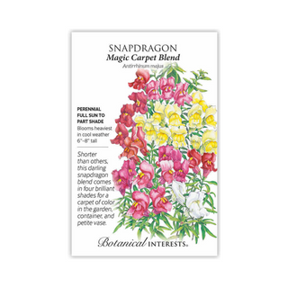 Snapdragon Magic Carpet Blend
