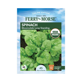 Spinach - Bloomsdale Long Standing