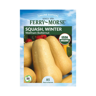 Squash - Waltham Butternut Organic