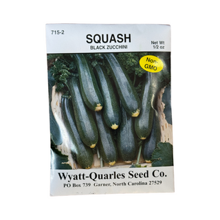 Squash Black Zucchini (Non GMO)