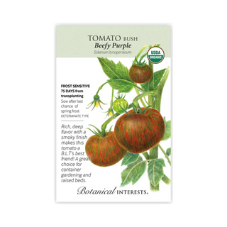 Tomato Bush Beefy Purple