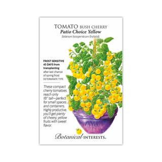 Tomato Cherry Patio Yellow hybrid