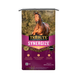 Tribute Synergize Horse Feed