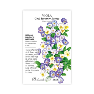 Viola Cool Summer Breeze