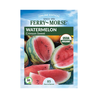 Watermelon Crimson Sweet Organic