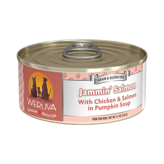 Weruva Jammin' Salmon Chicken & Salmon In Pumpkin Soup Wet Dog Food