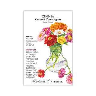Zinnia Cut and Come Again