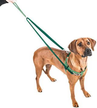 2 Hounds Design Neon Green Freedom No-Pull Dog Harness with Training Leash