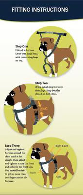 2 Hounds Design Neon Green Freedom No-Pull Dog Harness with Training Leash
