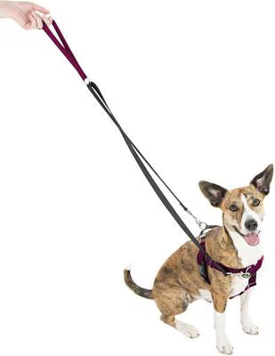 2 Hounds Design Raspberry Freedom No-Pull Dog Harness with Training Leash
