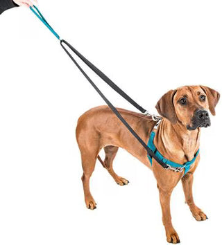 2 Hounds Design Teal Freedom No-Pull Dog Harness with Training Leash