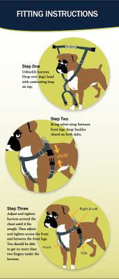 2 Hounds Design Teal Freedom No-Pull Dog Harness with Training Leash