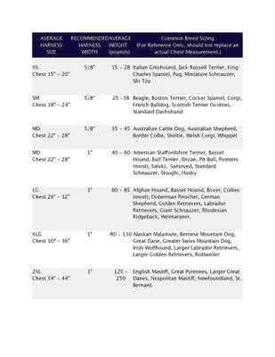 2 Hounds Design Teal Freedom No-Pull Dog Harness with Training Leash